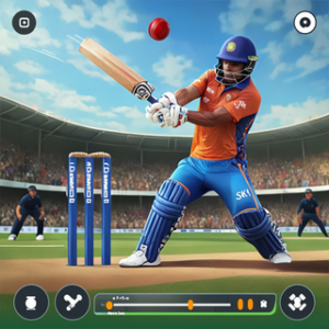 T20 Cricket Tournament