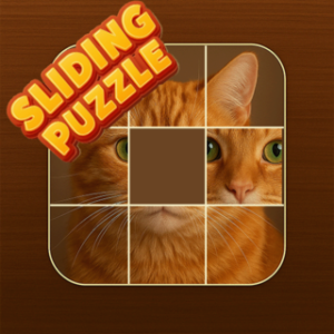 Art Puzzle Games: 3D Puzzle Master