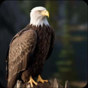 Ultimate Flying Eagle Game